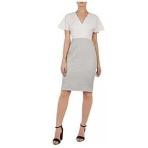 Ted Baker London Working Title Reemadd Two-Tone Women's Size 2 Midi Dress